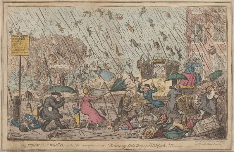 Raining cats and dogs